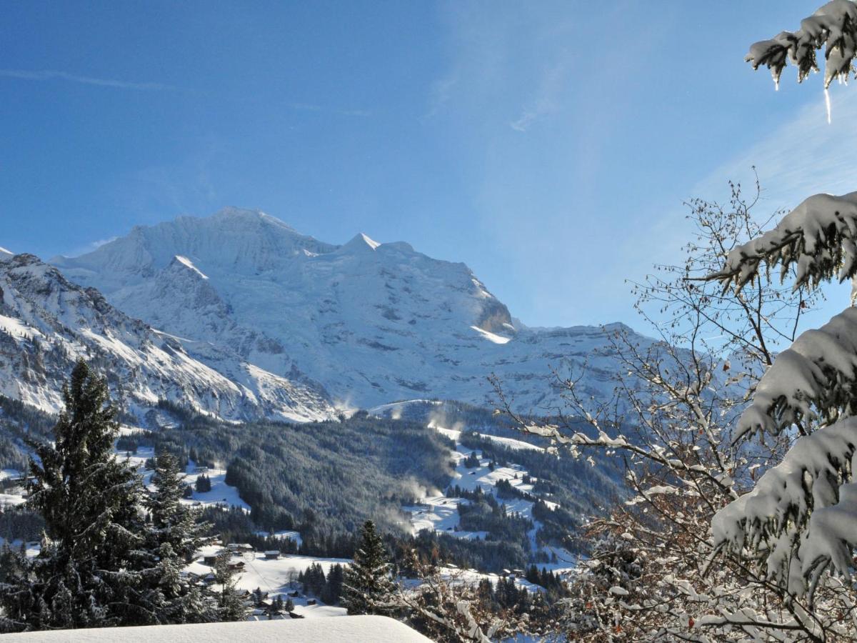 Apartment Haus Gertsch Apt-G By Interhome Wengen Zewnętrze zdjęcie