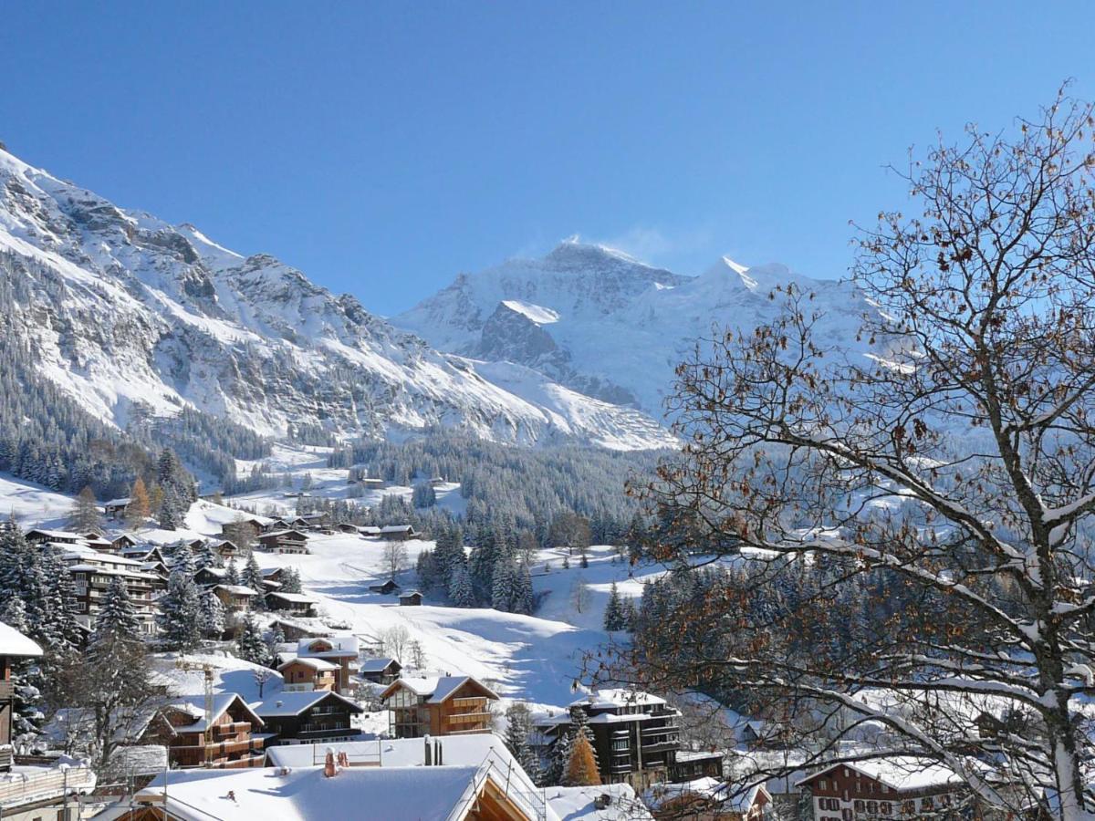 Apartment Haus Gertsch Apt-G By Interhome Wengen Zewnętrze zdjęcie